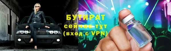 индика Алексин