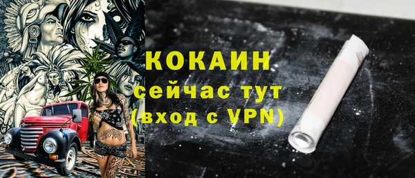соль ск Алзамай